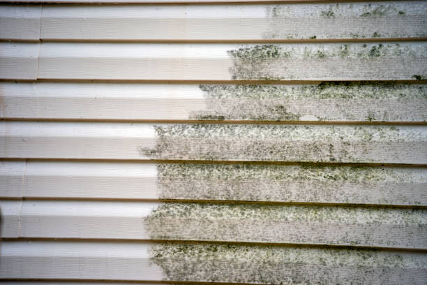 Best Carpet Removal and Disposal  in Gettysburg, PA
